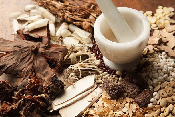 Subject: A variety of Chinese herbal medicine ingredients and a mortar and pestle.