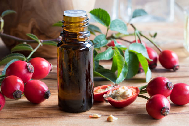 A bottle of rose hip seed oil on a wooden table, with fresh rose hips in the background